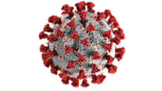 Foto oleh CDC: https://www.pexels.com/id-id/foto/virus-corona-3992933/