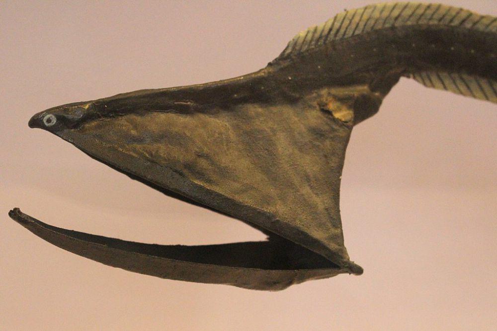 Ilustrasi mulut gulper eel (commons.wikimedia.org/Emőke Dénes)