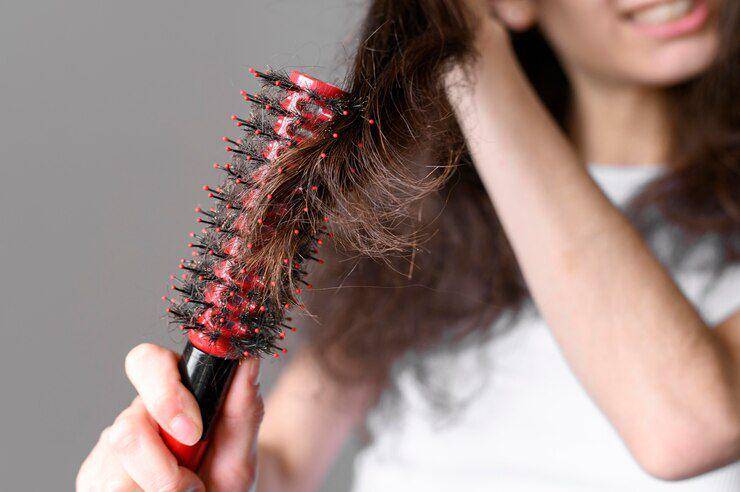 ilustrasi sisir denman brush (frreepik.com/freepik)