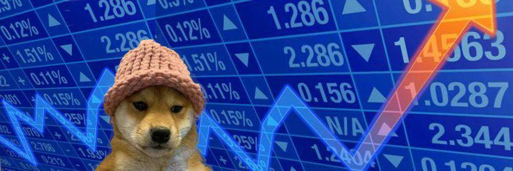 Dogwifhat (x.com/dogwifcoin)