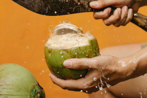 ilustrasi buah kelapa (pexels.com/Any Lane)