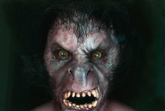 An American Werewolf in London (dok. Universal Pictures/An American Werewolf in London)
