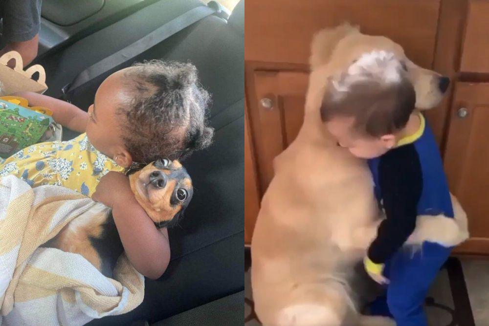 8 Potret Lucu Anjing Dipeluk Toddler, dari Bahagia sampai Tertekan