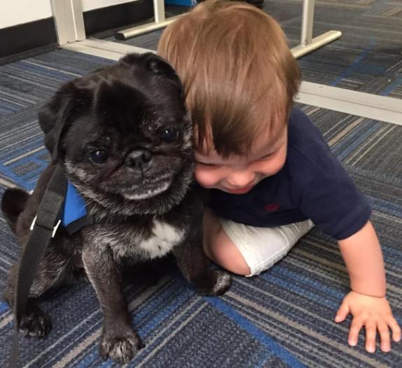 potret lucu anjing dipeluk toddler (reddit.com/EponymousPseudonym)