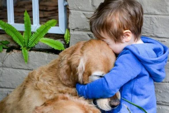 potret lucu anjing dipeluk toddler (reddit.com/Gek-keG)
