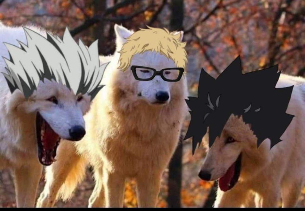 8 Meme Kocak Haikyu!! Ini Bakal Bikin Ngakak Kencang