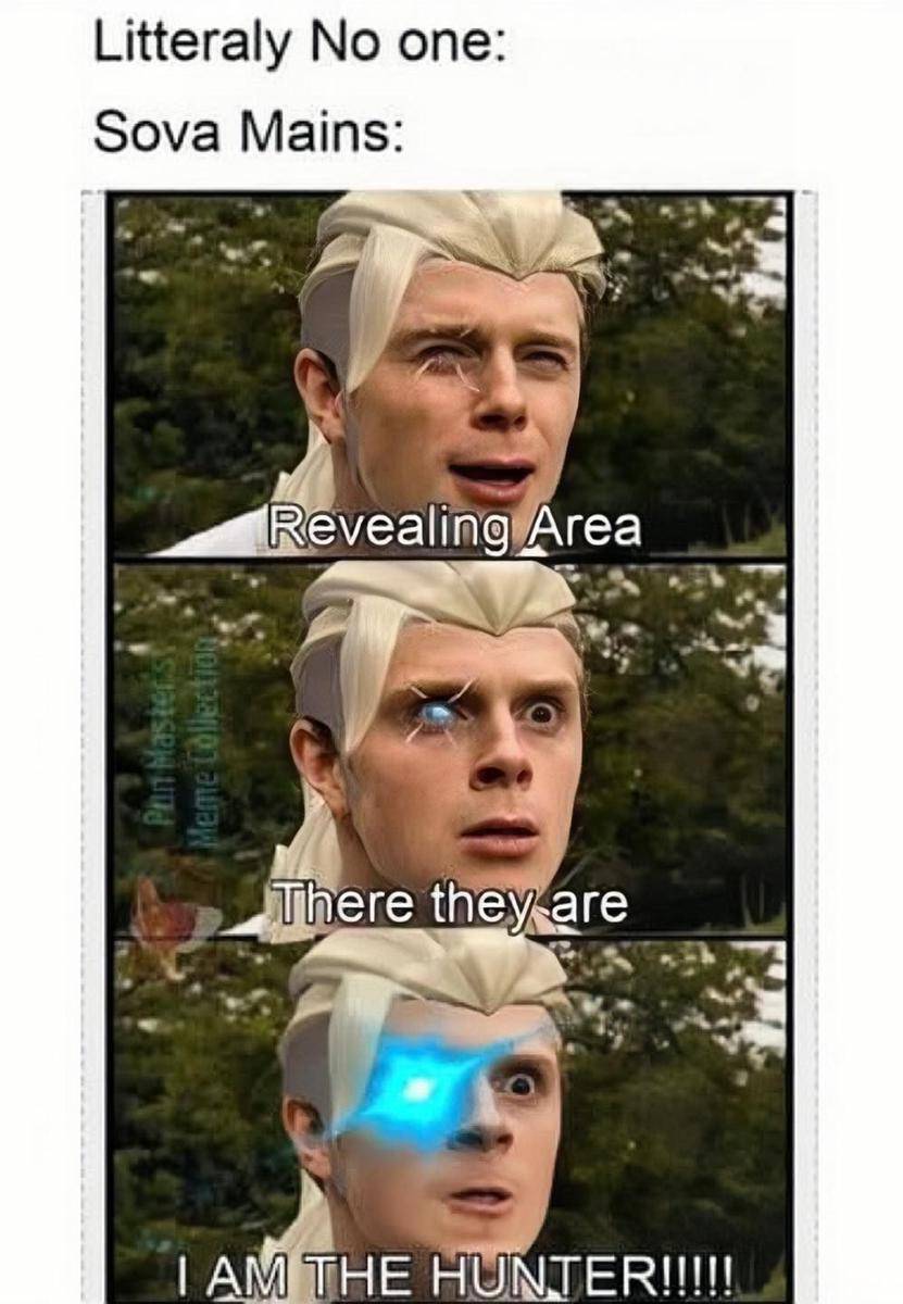 potret meme kocak Valorant (reddit.com/user/EnthrallingLilie)