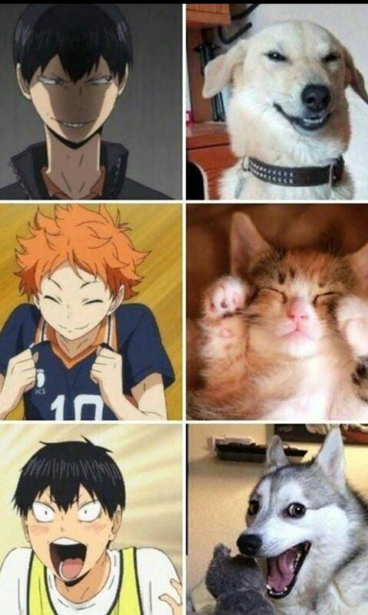 potret meme kocak Haikyu!! (reddit.com/user/ATG_076)
