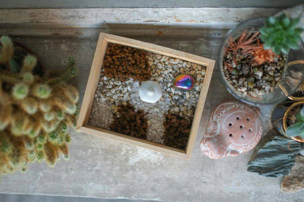 ilustrasi pembuatan mini zen garden (pexels.com/Dosio Dosev)