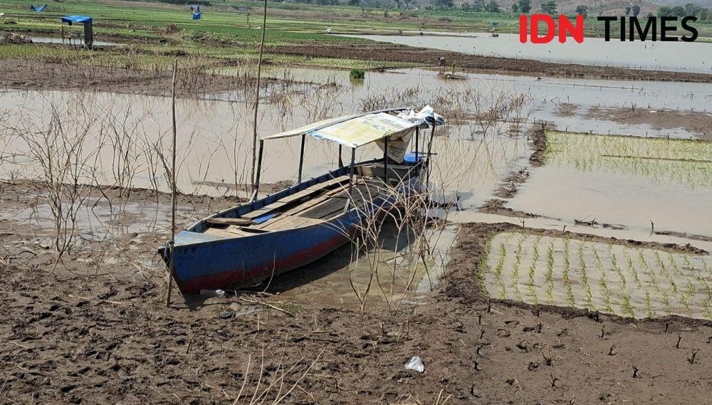 Waduk di Madiun Menyusut, 3 Kecamatan Terancam Gagal Panen