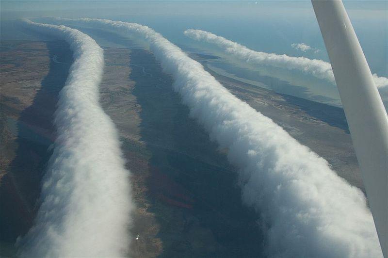 Morning glory Australia. (https://www.amusingplanet.com)