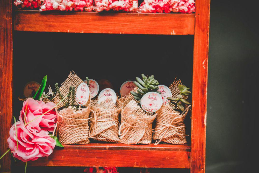 8 Tanaman yang Bisa Dijadikan Souvenir, Unik dan Ramah Lingkungan!