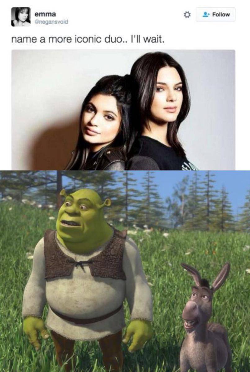 potret meme Shrek (reddit.com/user/69imthatguy69)