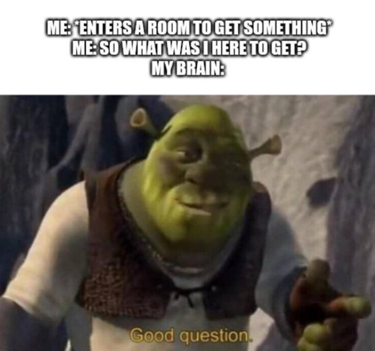potret meme Shrek (reddit.com/user/The1stSkyWalker)