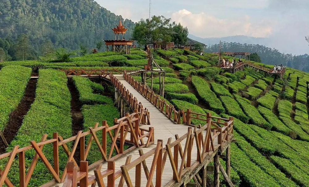 10 Pesona Wayang Windu Panenjoan, Wisata Kebun Teh Favorit di Bandung