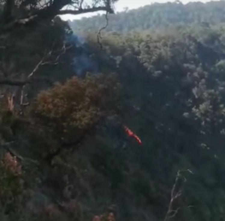 Hutan Dekat Gunung Tangkuban Parahu Terbakar