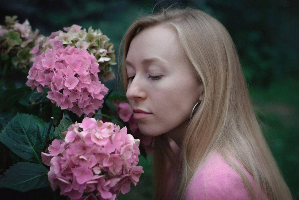 hydrangea yang penuh makna (pexels.com/Christina Ilina)