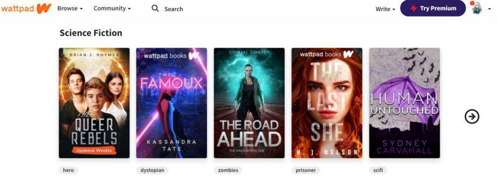 Tangkapan layar Wattpad. Dok. Pribadi.