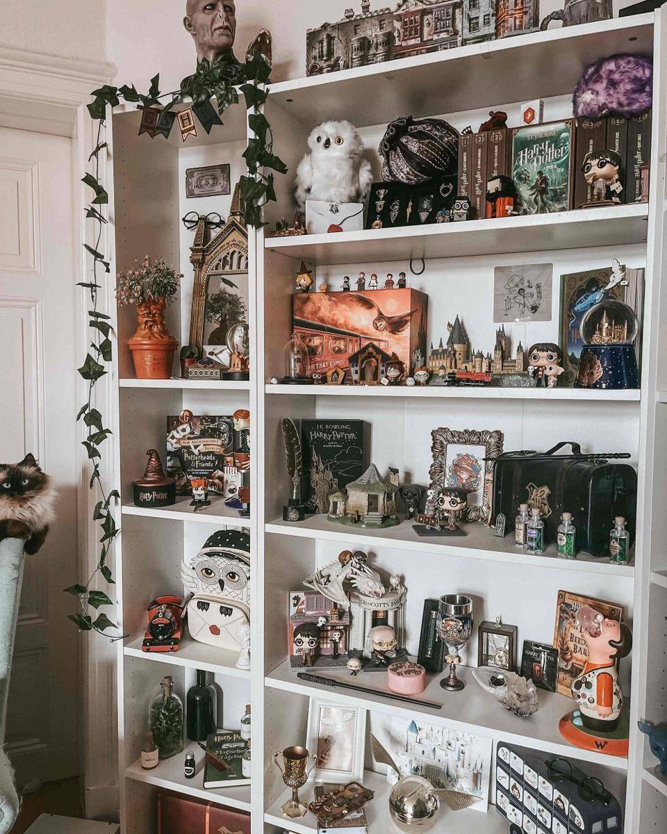 potret koleksi unik Harry Potter (reddit.com/user/ougelique)