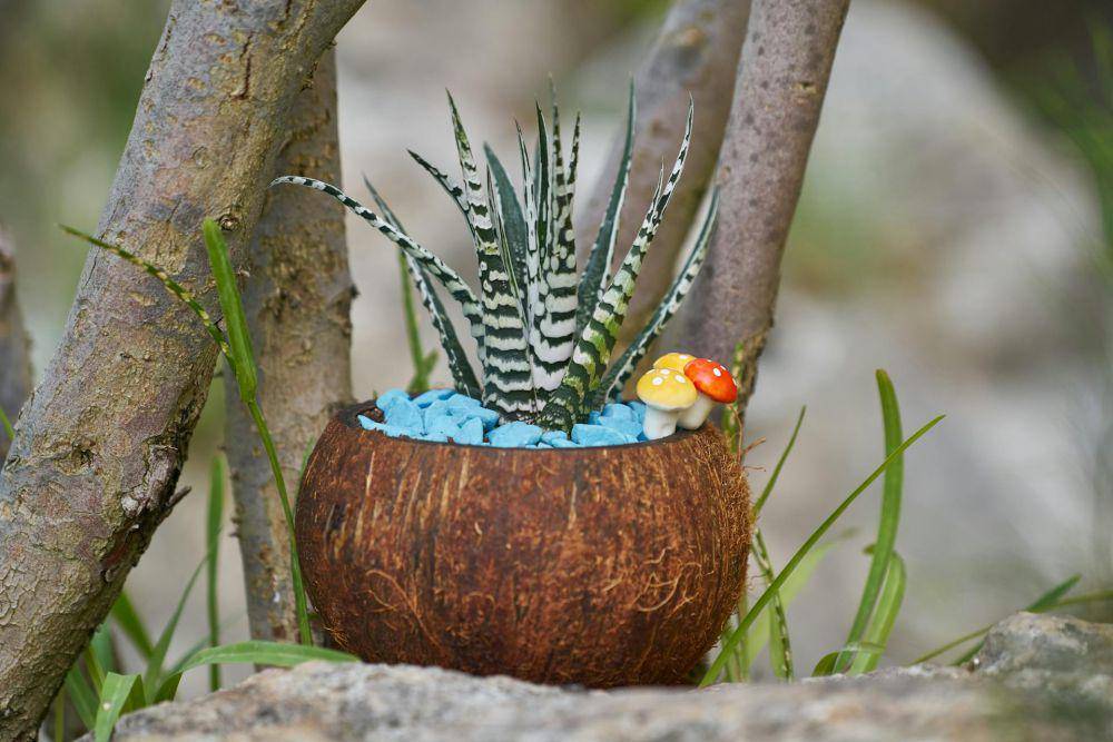 ilustrasi diy pot tanaman dari barang bekas (pexels.com/Engin Akyurt)