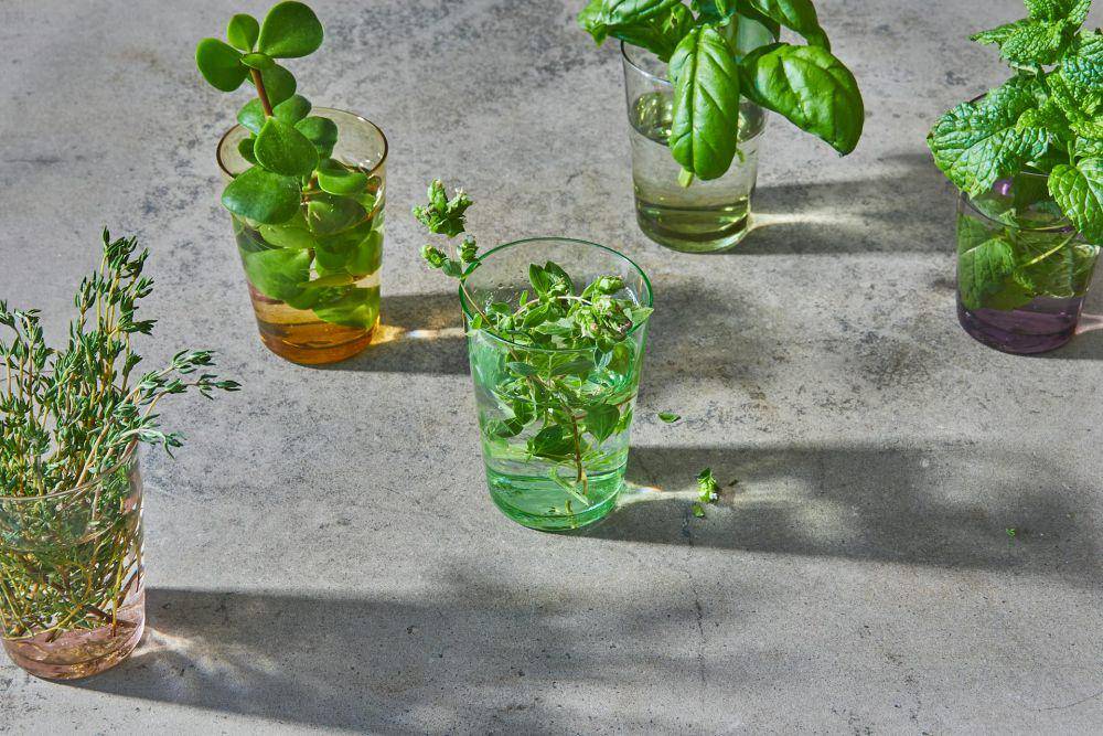 ilustrasi diy pot tanaman dari barang bekas (pexels.com/Leah Rolando)