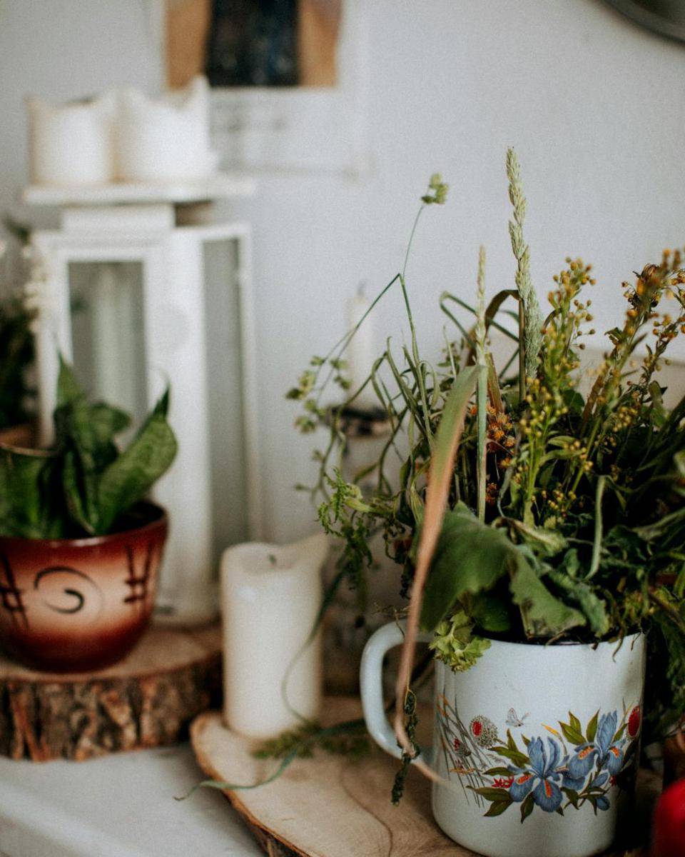 ilustrasi diy pot tanaman dari barang bekas (pexels.com/Evgeniya Kuzmina)