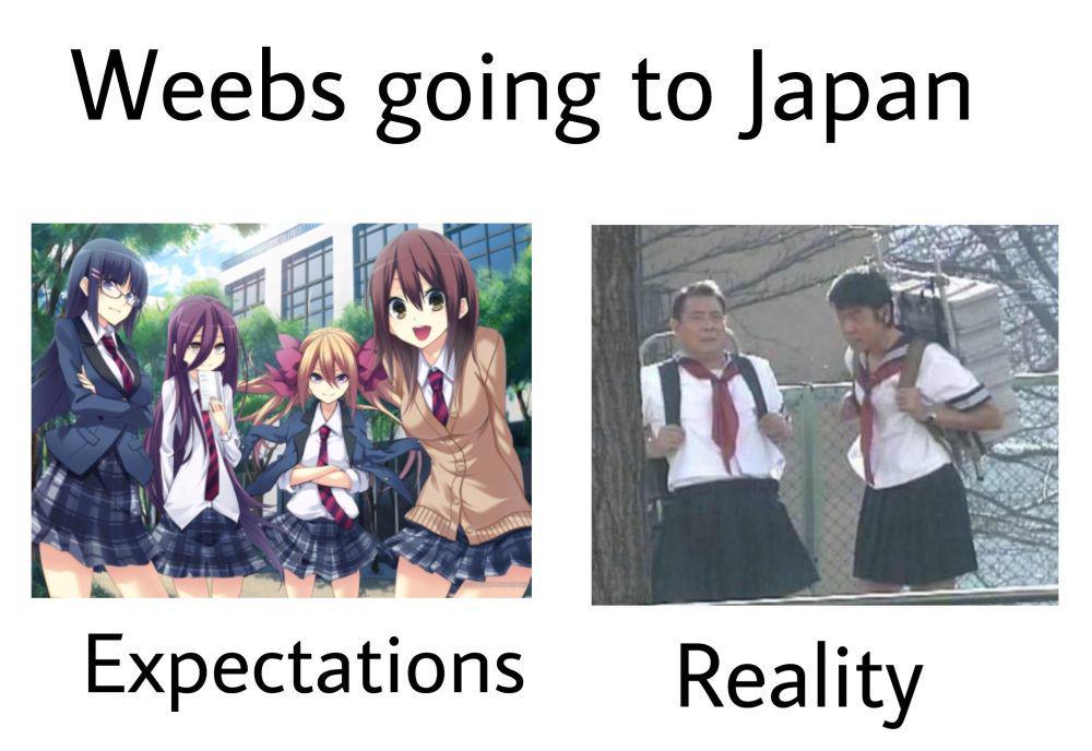 potret meme anime ekspektasi versus realitas (reddit.com/user/Edisonen)