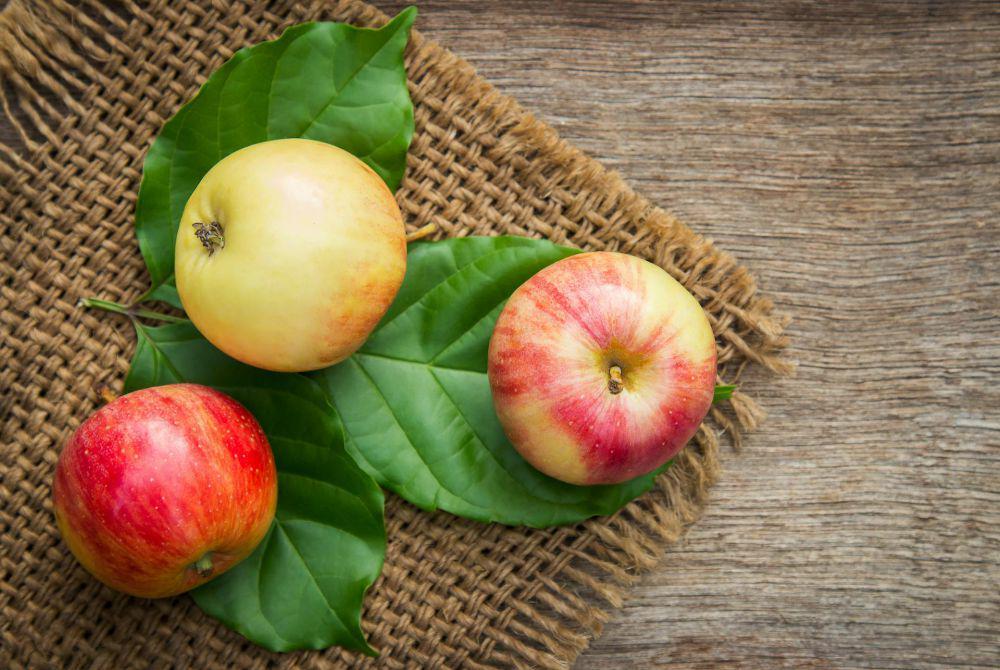 Ilustrasi buah apel (pexels.com/@fecundap6)