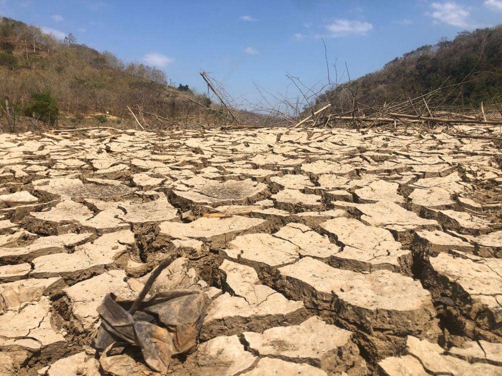 Krisis Air, Warga Ponorogo Terpaksa Cari Air Hingga 2 Km ke Hutan