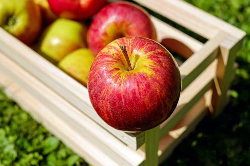 4 Tips Membeli Buah Apel yang Manis dan Berkualitas, Pasti Segar!