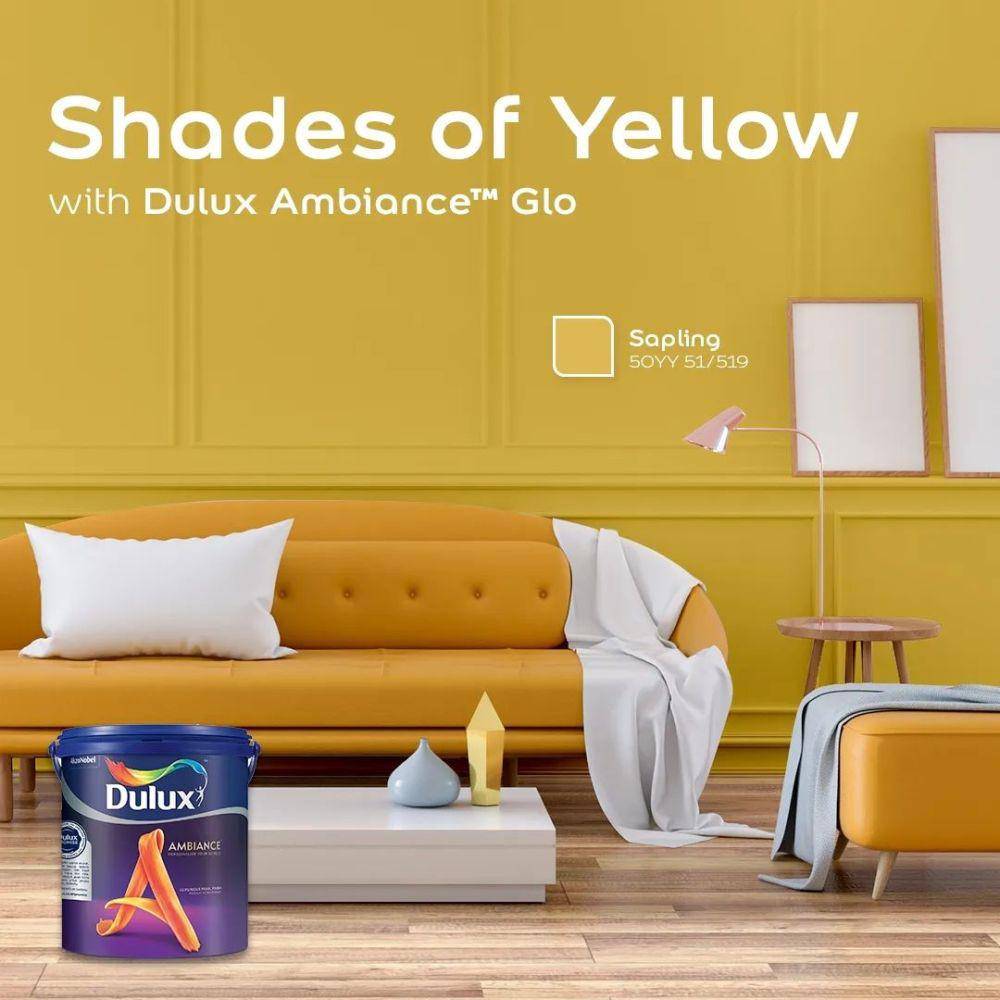 Dulux Ambiance (instagram.com/letscolourid)