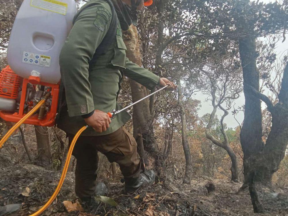 Diguyur Hujan, Kebakaran di Kawasan Gunung Tangkuban Parahu Padam