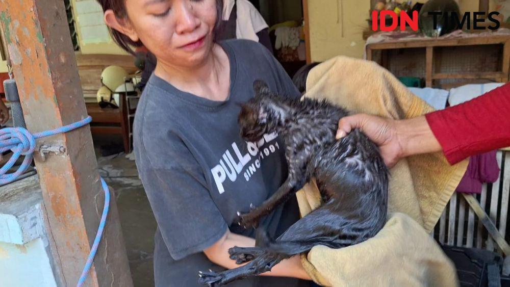 Tangis Affina Nurahma pemilik kucing warga Desa Grudo, Kecamatan Ngawi. IDN Times/ Riyanto.