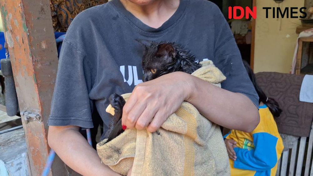Tangis Affina Nurahma pemilik kucing warga Desa Grudo, Kecamatan Ngawi. IDN Times/ Riyanto.