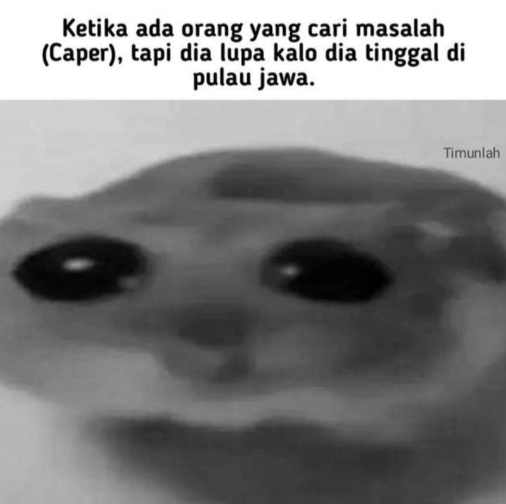 meme caper (instagram.com/timunlah)