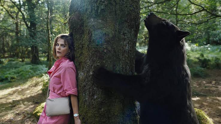Cocaine Bear (dok. Universal Pictures/Cocaine Bear)