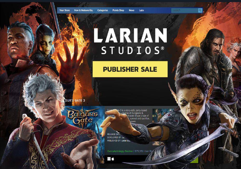 diskon game Larian Studios (store.steampowered.com)