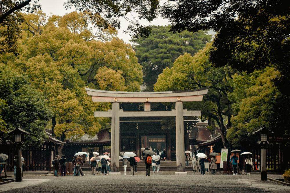 potret Meiji Jingu Forest, Tokyo (unsplash.com/aestelle)