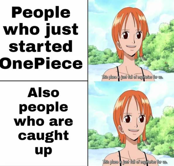 meme memulai menonton One Piece (reddit.com/scorp244)