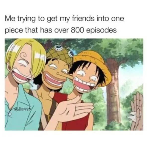 meme memulai menonton One Piece (reddit.com/ogu456)