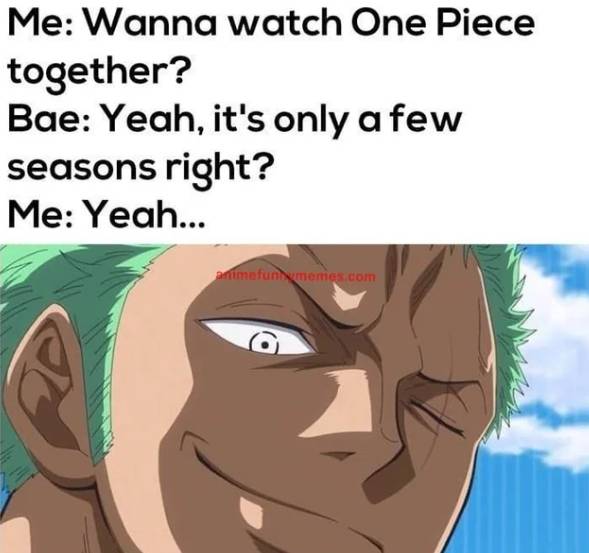 meme memulai menonton One Piece (reddit.com/zoro4life_)