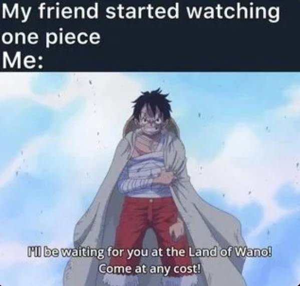 meme memulai menonton One Piece (reddit.com/BeneficialCatch8531)