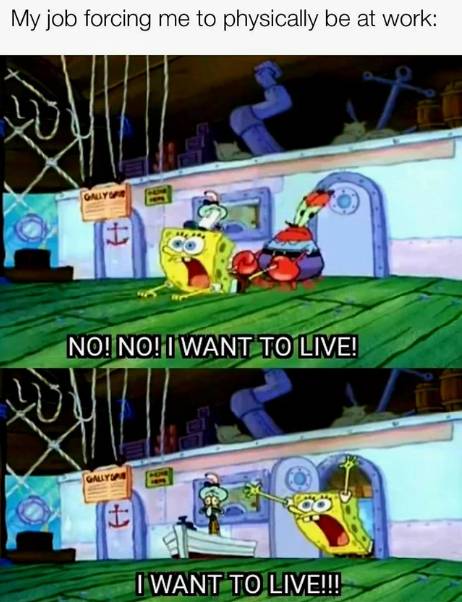 meme SpongeBob SquarePants tentang pekerjaan (reddit.com/CONQUER66)