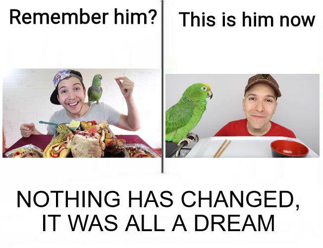 potret meme Nickado Avocado (reddit.com/user/CookieXDmaster)