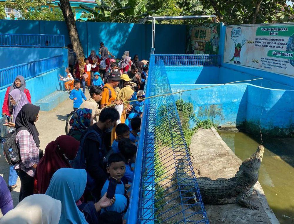Feeding time satwa di Madiun Umbul Square. (instagram.com/madiunumbulsquare)