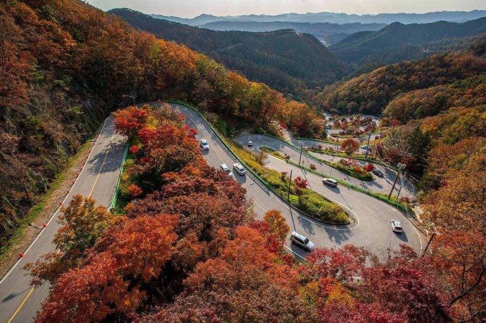 Potret musim gugur di Korea Selatan (pixabay.com/jeejong58)