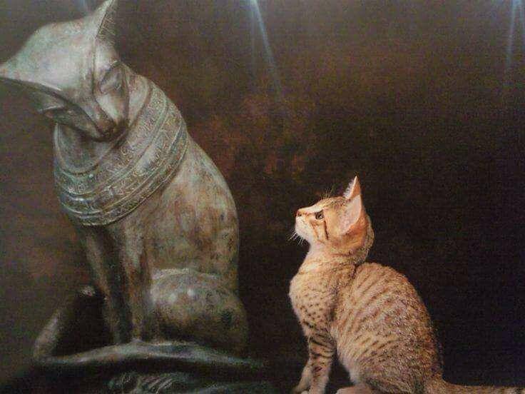 foto gemas kucing dengan patung kucing (reddit.com/r/cats)