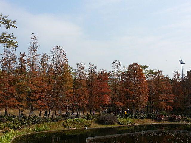 potret Tsing Yi Park (commons.wikimedia.org/Pc1878)