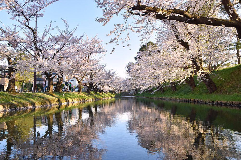 Kastil Hirosaki (commons.wikimedia.org/Raita Futo)