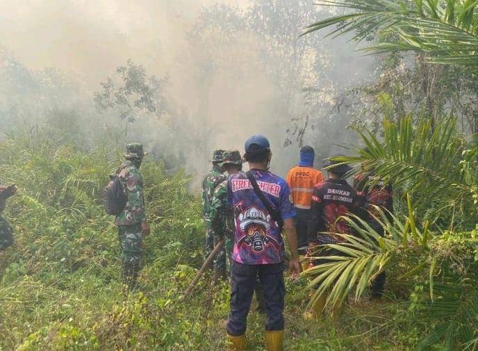 kebakaran hutan di wilayah Muara Enim (Dok: BPBD Sumsel)